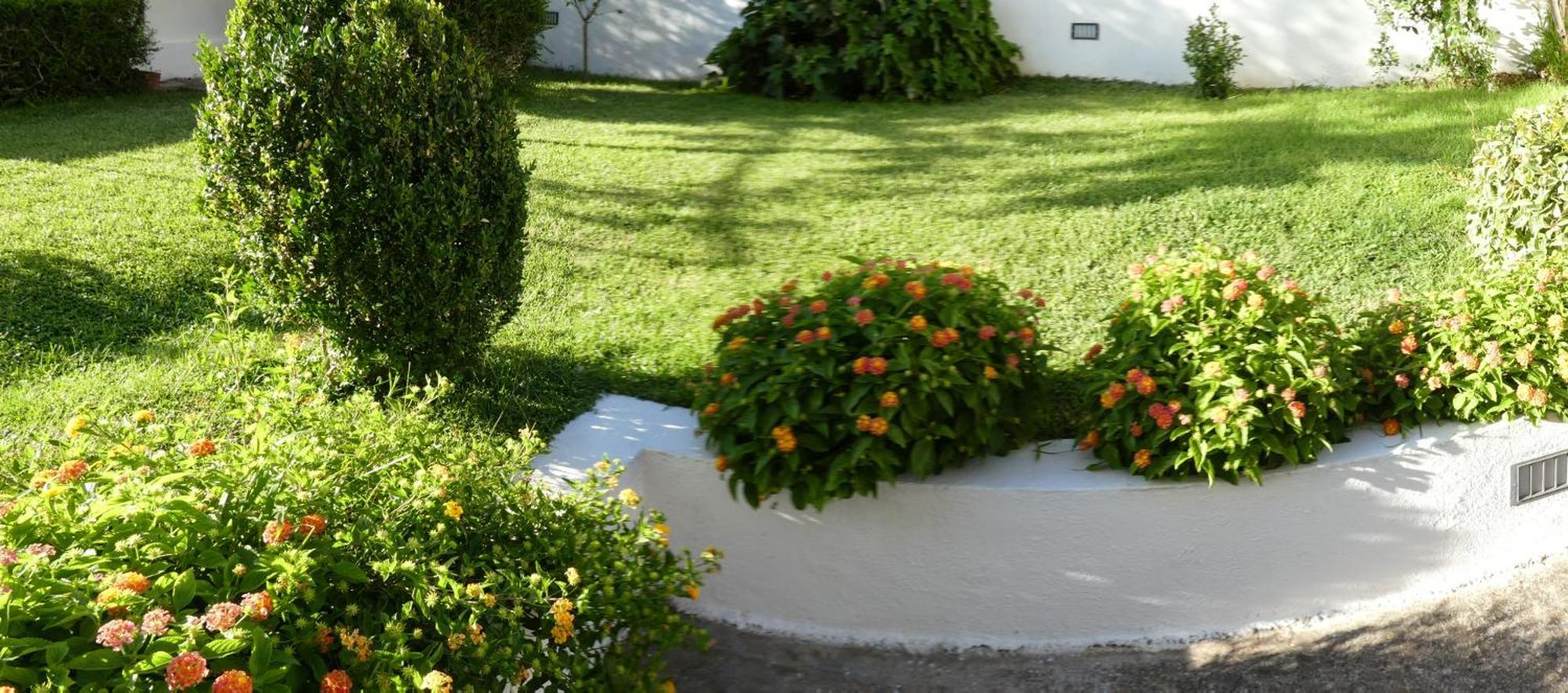 B&B Oliena Εξωτερικό φωτογραφία