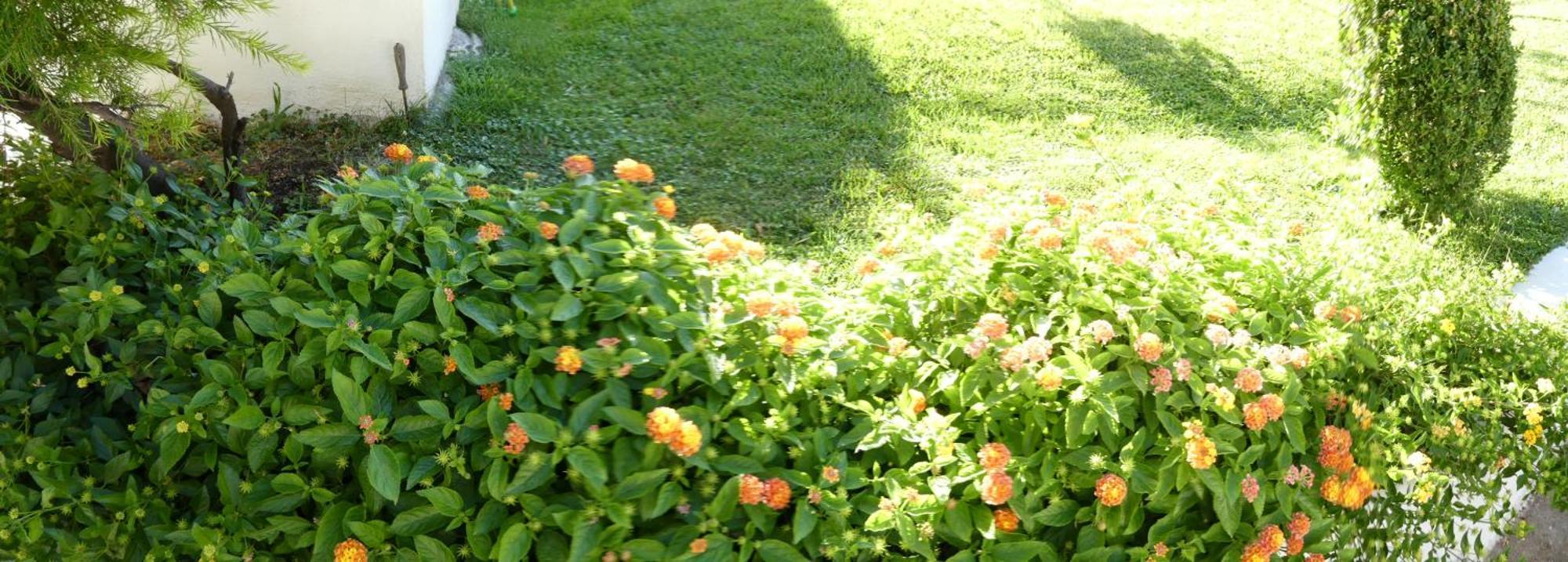 B&B Oliena Εξωτερικό φωτογραφία