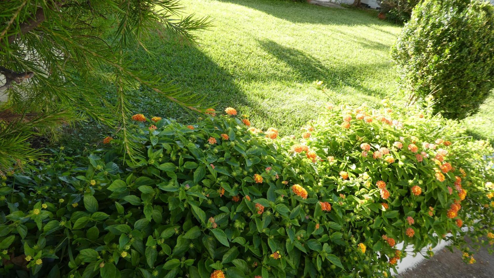 B&B Oliena Εξωτερικό φωτογραφία