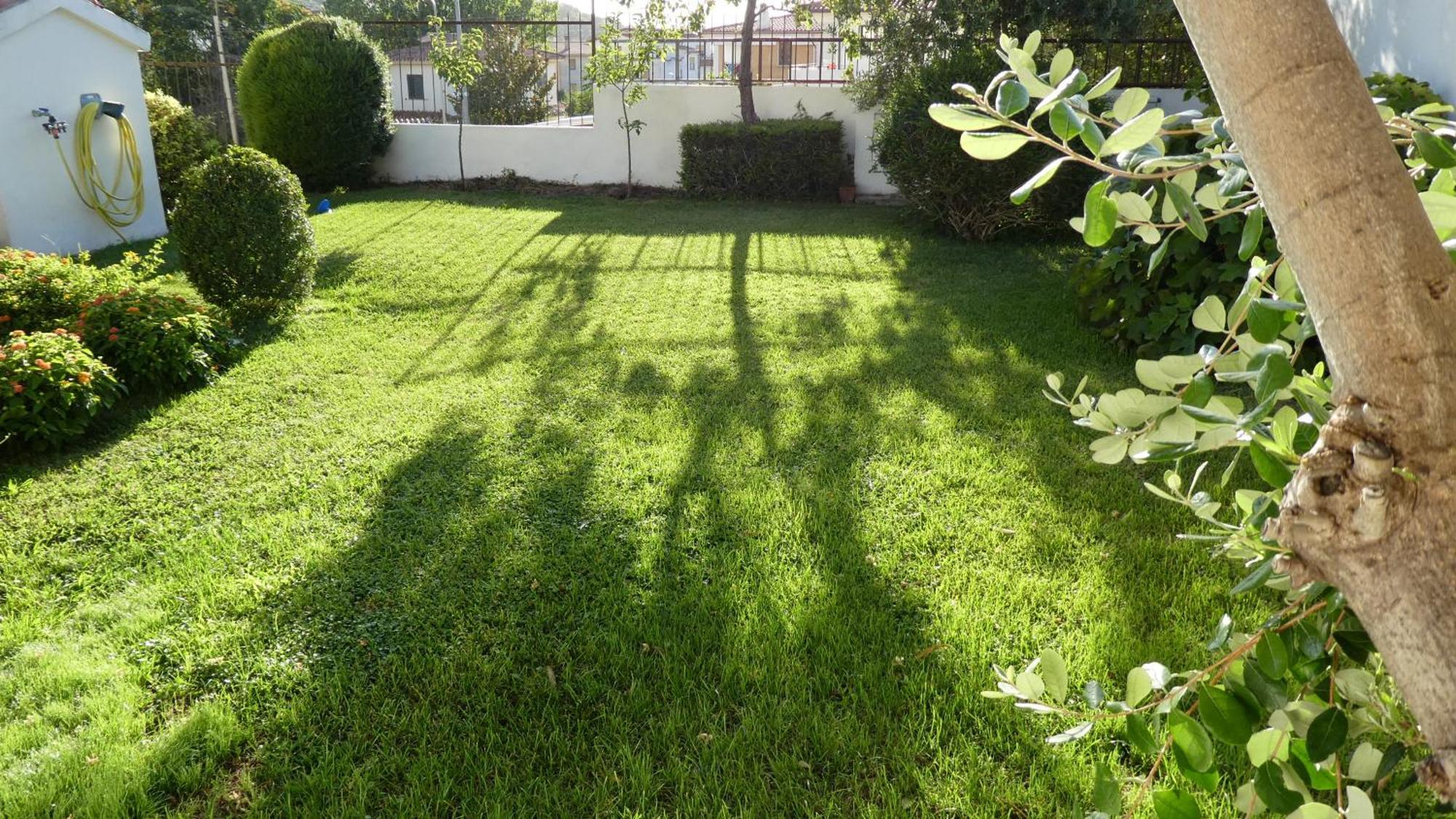 B&B Oliena Εξωτερικό φωτογραφία