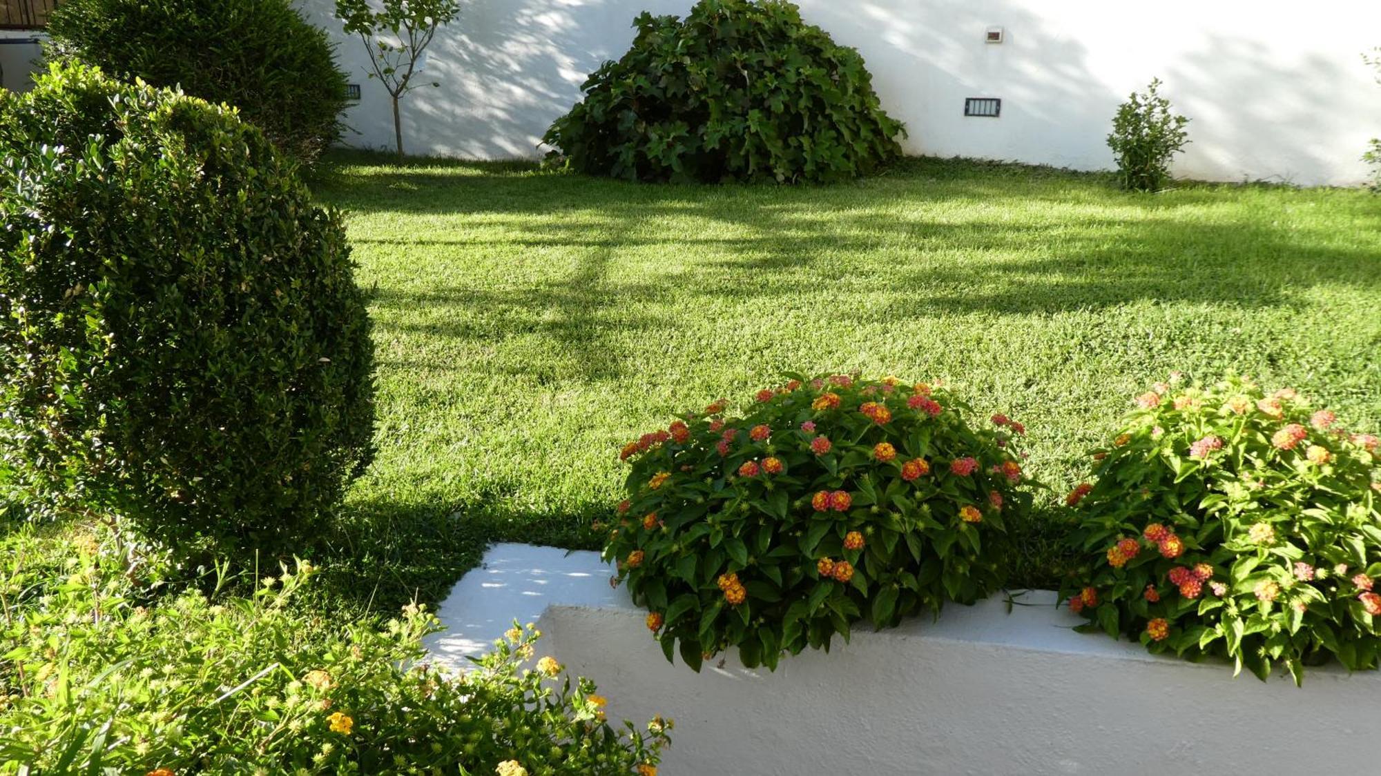 B&B Oliena Εξωτερικό φωτογραφία