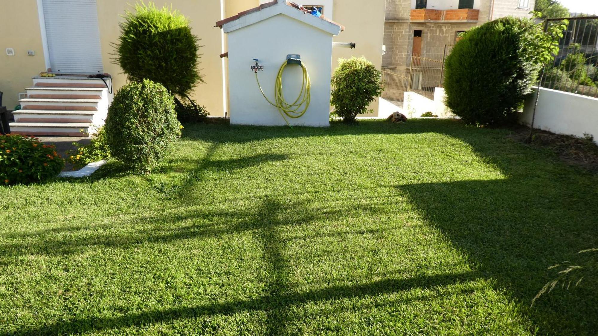 B&B Oliena Εξωτερικό φωτογραφία