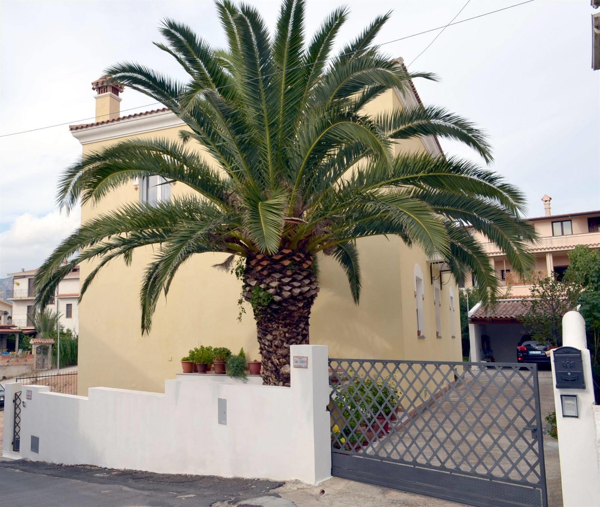 B&B Oliena Εξωτερικό φωτογραφία